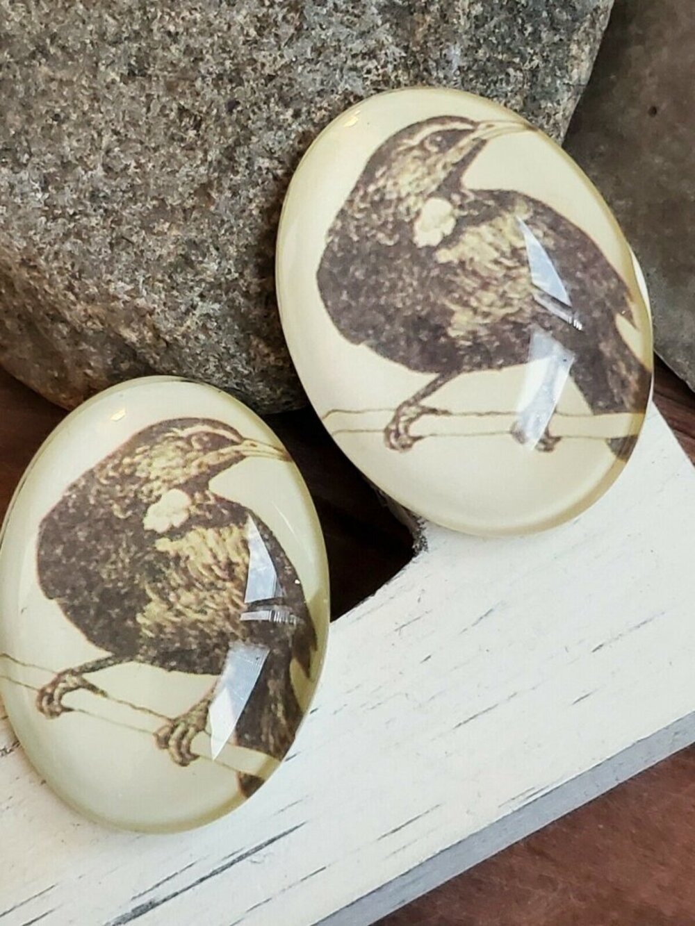 Edgar Allan Poe The Raven Victorian Gothic Bird Glass Oval Cabochon 40x30mm - Picture 2 of 10